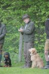 Hundepräsentation 2019